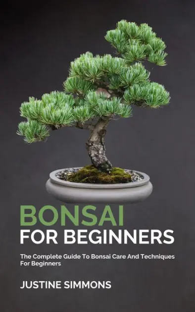 In Demand Bonsai For Beginners - The Complete Guide To Bonsai Care And Techniques For Beginners