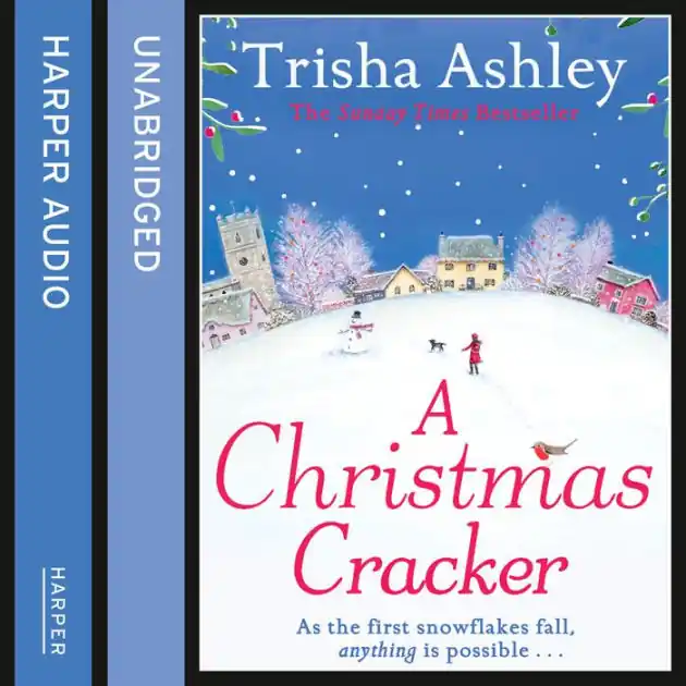 Free Shipping A Christmas Cracker