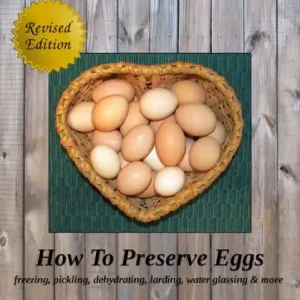 How To Preserve Eggs: Freezing, Pickling, Dehydrating, Larding, Water Glassing, & More (The Little Series of Homestead How-Tos from 5 Acres & A Dream, #1) Order Now