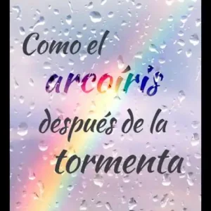 Sale Como el arcoíris después de la tormenta (Serie Dos Amigas 1)