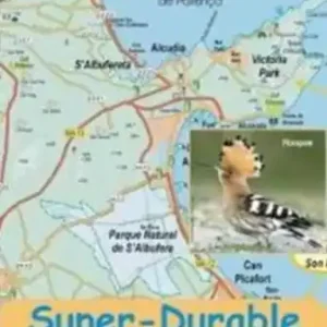 Original Mallorca Super Durable Map and Bird Watching Guide
