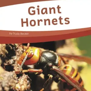 Giant Hornets Handmade