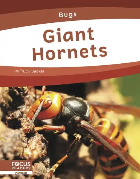 Giant Hornets Handmade