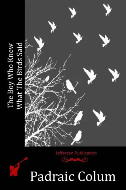 Order Now The Boy Who Knew What The Birds Said