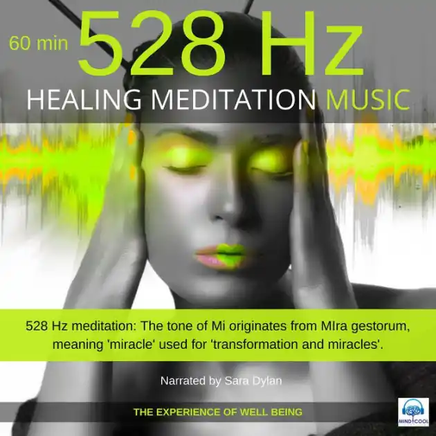 Holiday Sale Healing Meditation Music 528 Hz 60 minutes: The experience of well-being