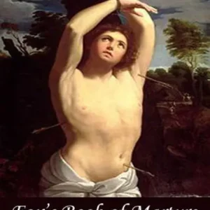 Modern Fox's Book of Martyrs Or A History of the Lives, Sufferings, and Triumphant Deaths of the Primitive Protestant Martyrs: A Religion, History Classic By John Foxe! AAA+++