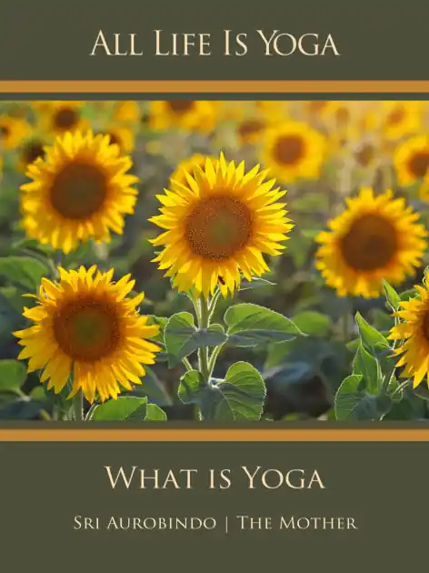 All Life Is Yoga: What is Yoga Price Drop