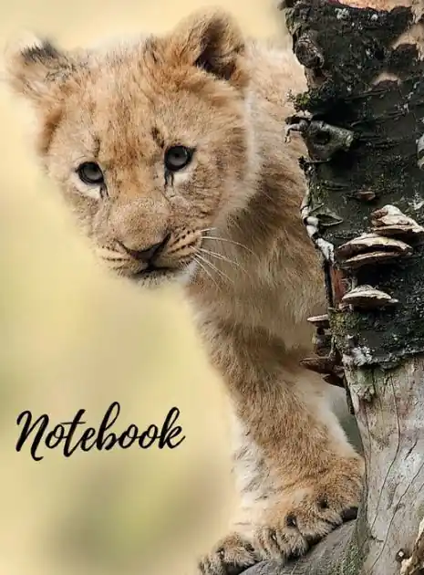 Best Price Notebook: Large Lion Cub Design Hardcover Notebook/Journal: Ruled, Letter Size (8.5 x 11) Composition Notebook