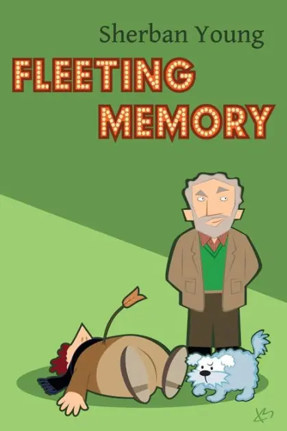 Fleeting Memory Factory Price