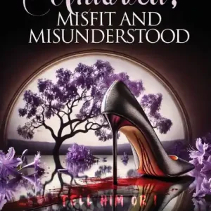 Unloved, Misfit and Misunderstood Direct From Factory