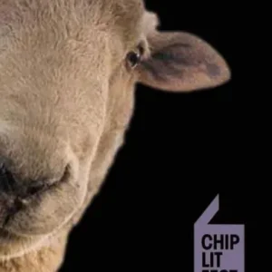 Seasonal Sale The One About The Sheep And Other Stories: ChipLitFest Short Story Winners 2016 - 2022