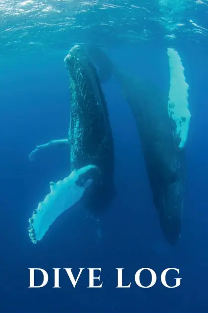 Dive Log: 100 Scuba Diving Logs, Humpback Whale Dance Cover: Don’t Miss Out