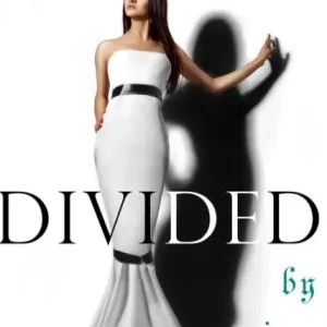 DIVIDED Best Choice