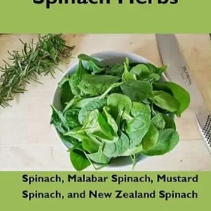 Spinach Herbs: Spinach, Malabar Spinach, Mustard Spinach and New Zealand Spinach Price Drop