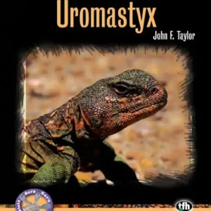 Latest Uromastyx