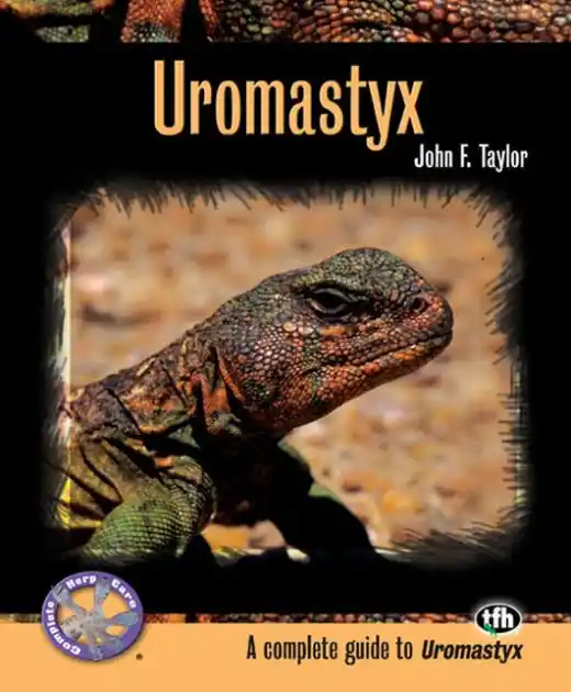 Latest Uromastyx