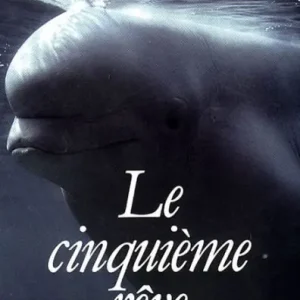 New Release Le cinquième rêve