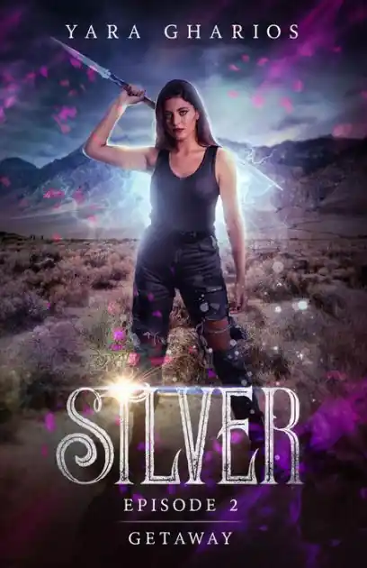Bulk Order Getaway (Silver, #2)