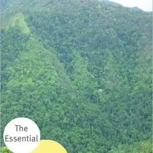 The Essential Works of George Birmingham Certified