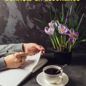 Limited Offer Sonnets en assonance