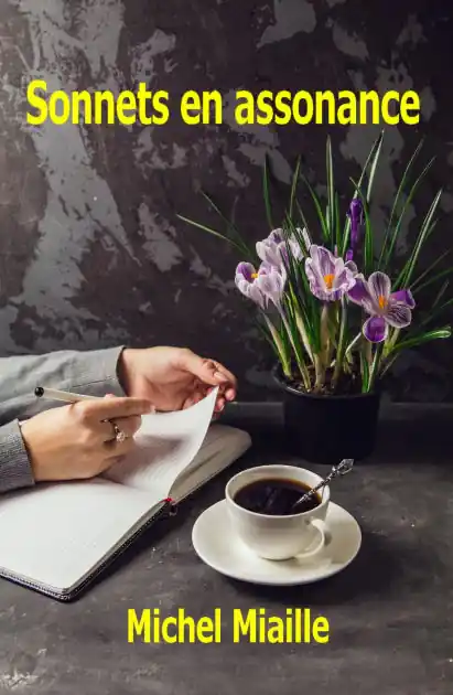 Limited Offer Sonnets en assonance