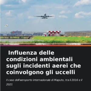 Influenza delle condizioni ambientali sugli incidenti aerei che coinvolgono gli uccelli Deal
