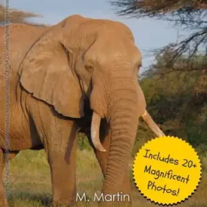 Last Chance Elephants: The Largest Land Animals on the Planet