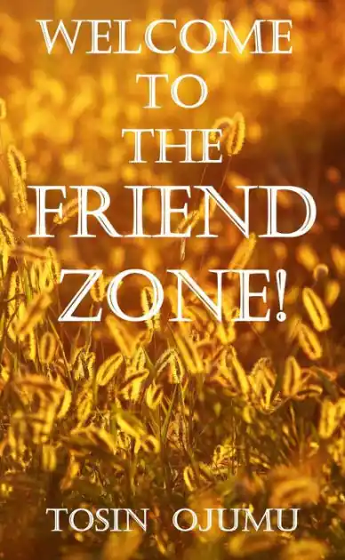 Welcome to the Friendzone! Brand New