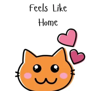 Buy Online When Love Feels Like Home
