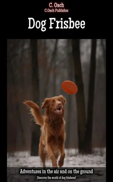 Special Offer Dog Frisbee: Discover the world of dog frisbees!
