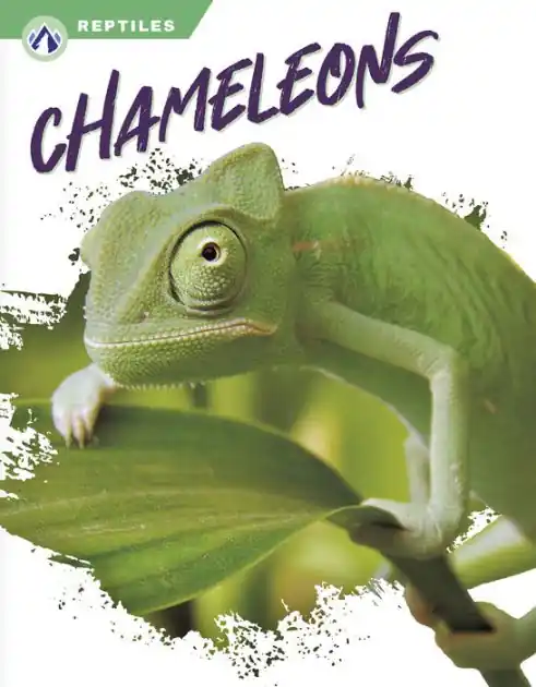 New Release Chameleons