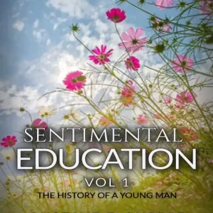 Top Rated Sentimental Education Or The History Of A Young Man Vol. -1