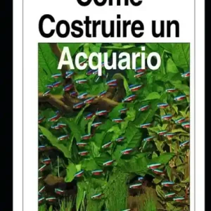 Come costruire un acquario: Una guida completa, dall'acquisto degli accessori alla riproduzione dei pesci Buy Today