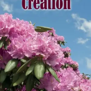 Magnifying Creation Top Rated