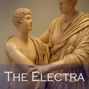 Electra Factory Price