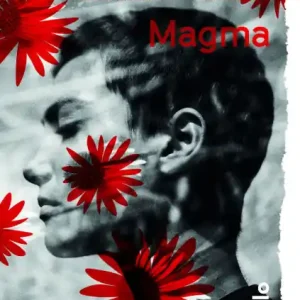 Magma Low Price