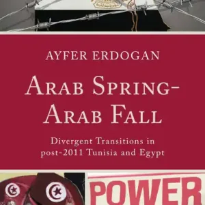 Arab Spring-Arab Fall: Divergent Transitions in post-2011 Tunisia and Egypt Direct From Manufacturer