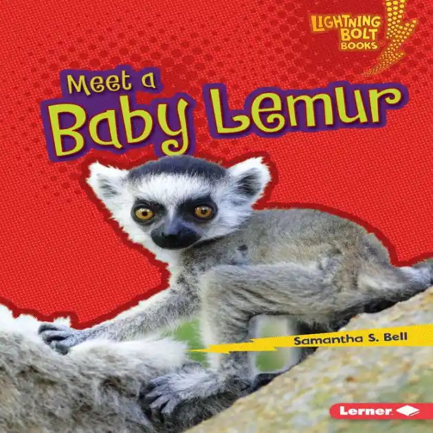 Shop Now Meet a Baby Lemur