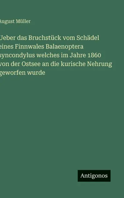 In Demand Ueber das Bruchst�ck vom Sch�del eines Finnwales Balaenoptera syncondylus welches im Jahre 1860 von der Ostsee an die kurische Nehrung geworfen wurde