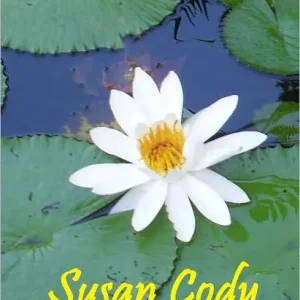 A Lotus-Covered Door Grab Now
