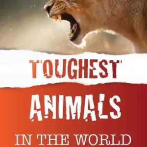 Toughest Animals In the World: Top 100 Discount