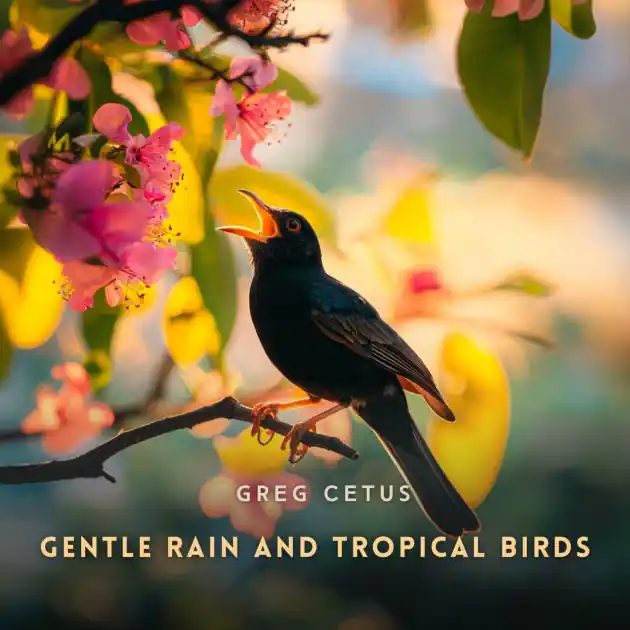 Gentle Rain and Tropical Birds: Soundscapes for a Holistic Life Buy Online