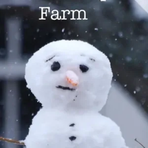 Fellowship Farm 4: Books 10-12 Factory Price