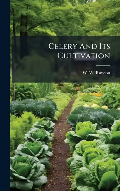 Price Cut Celery And Its Cultivation