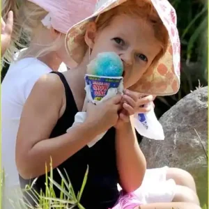 Wholesale Saved Ice Snow Cone Service Start Up Sample Businss Plan!