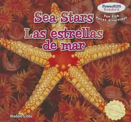 Sea Stars / Las estrellas de mar Mega Sale