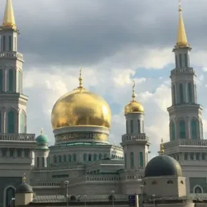 Factory Price Islamic Leadership and the State in Eurasia