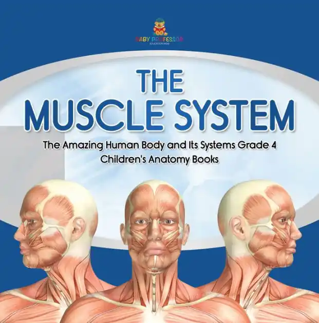 The Muscle System The Amazing Human Body and Its Systems Grade 4 Children's Anatomy Books Save Now