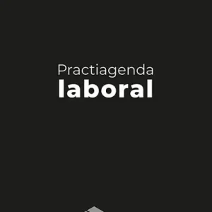 Final Sale Practiagenda Laboral 2025