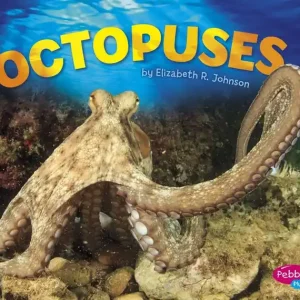 Octopuses Get Yours